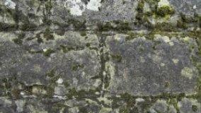 Pulitura di superfici lapidee