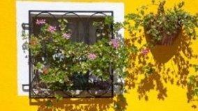 Luci a norma di legge