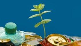 Piante in lattina e in sacchetto