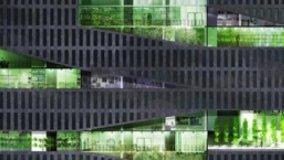 Skyfarming, la fattoria verticale