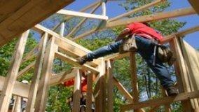 Il legno e i terremoti