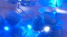 Riciclare le bottiglie come lampade