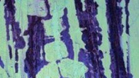 Difetti delle opere di attintatura