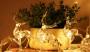 Lightinthebox, luci di Natale sul tavolo delle feste