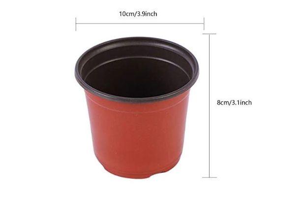 Un vaso di queste dimensioni può andar bene al massimo per una talea