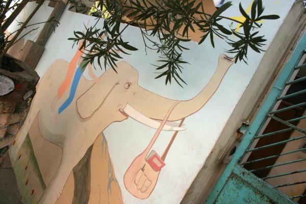 I murales sono adatti su pareti esterne e interne - Foto Fabio Sanna illustratore