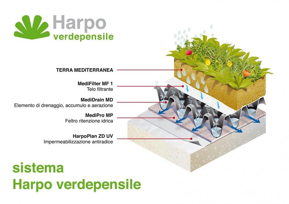 Harpo, tetto verde
