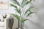 Fejka, pianta artificiale di Ikea con vaso da interno-esterno Kentia forsteriana