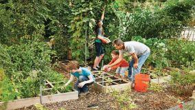 Come creare un piccolo orto con lo Square Foot Gardening