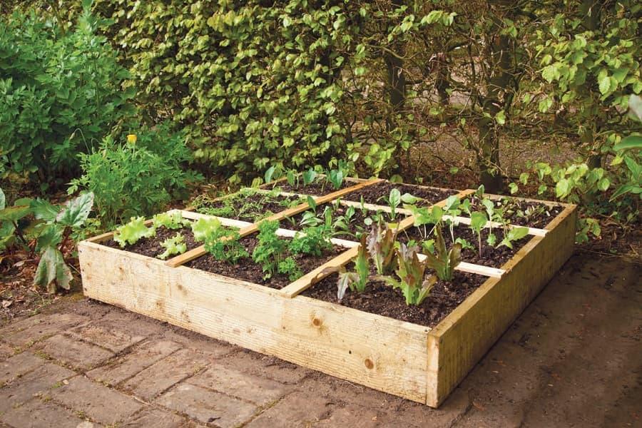 La scatola 3x3 Square Foot Gardening per spazi piccoli