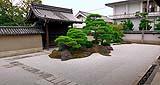 Giardino zen piante e pietre a contrasto: Tempio Kanchi a Kyoto