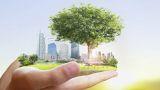 Ecowellness: nuovi orizzonti per l'edilizia sostenibile