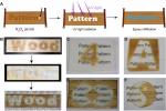 Ci sono diverse ricerche volte ad ottenere il legno trasparente - Science.org