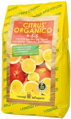 Concime minerale citrus