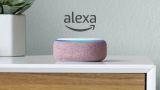 Amazon Alexa, come eliminare i propri dati registrati