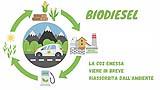 Ciclo del biodiesel