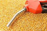 Il biodiesel può essere prodotto dal mais