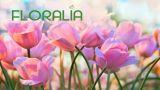 Floralia 2022, a Milano l'evento dedicato al verde e all'artigianato