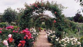 Archi per piante e fiori rampicanti: funzionali e decorativi
