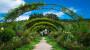 Archi per piante rampicanti sempreverdi - Foto: Unsplash