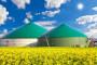 Biogas energia pulita
