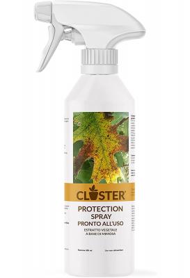 Closter: spray anti funghi