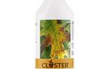 Closter: spray anti funghi