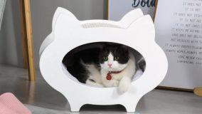 Casetta per gatti: la felicità del nostro animale domestico