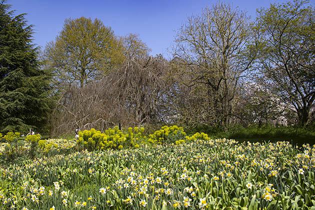 Blocco note Giardino all'inglese