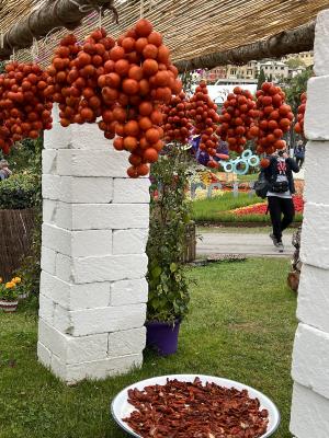 Esposizione Puglia, Euroflora 2022 - Foto: Raffaela Cozzolino