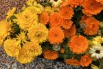 Composizioni floreali gialle e arancio, Euroflora 2022 - Foto: Raffaela Cozzolino