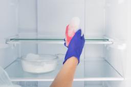 La pulizia del freezer