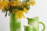 Ceramiche verdi - Foto: H&M Home