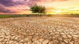 Emergenza siccità in Italia: si rischia il razionamento dell'acqua