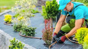 Quanto costa un giardiniere per pulire il giardino di casa?