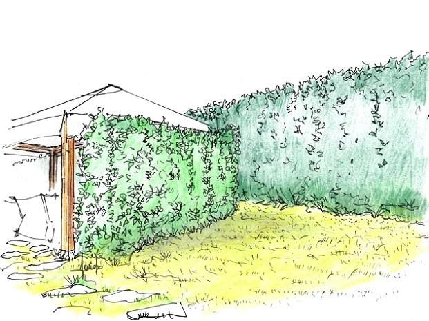 Setos cortavientos para jardín - Diseñador Antonio Previato