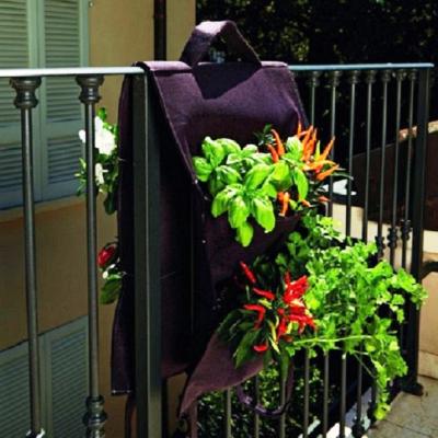 Piante aromatiche ringhiera balcone - Verdemax
