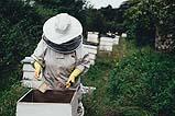 Tipica protezione di un apicoltore 