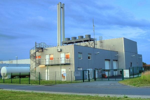 Energy production plant using biomass