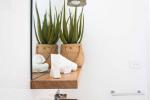 Pianta per interni, Aloe vera - Foto: Unsplash