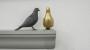 Statue per interni piccioni - Foto: Sturm Milano