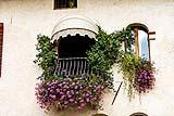 Balconcino alla francese con piccolo giardino