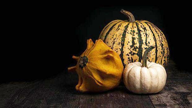 Conoscere meglio le zucche ornamentali in vista di Halloween
