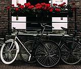 Biciclette foto by Pexels