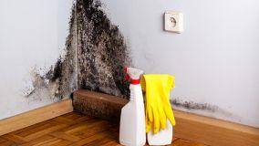 Come risolvere il problema dell'umidità in casa