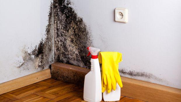 Come risolvere il problema dell’umidità in casa