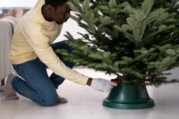 Attenzione al trapianto dell'albero di Natale vero