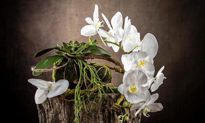 Orchidea di Arte Fiore