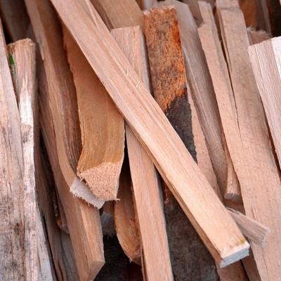 Essenze legnose di faggio, legno duro con maggior potere calorico