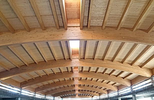 Grande struttura in legno lamellare con travi curve, by Emma Industrie